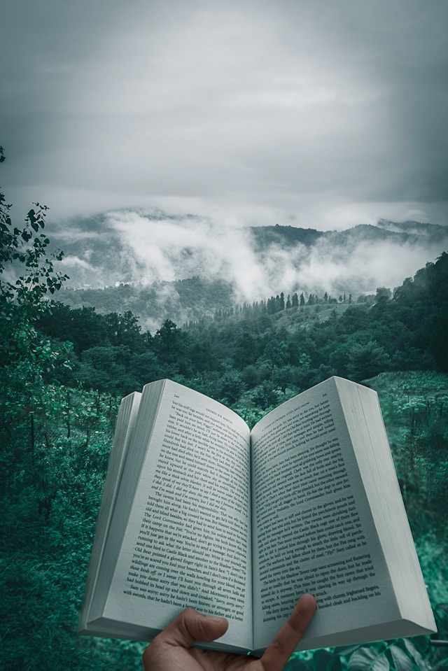 kourosh qaffari rrhhzityizg unsplash (1) kourosh qaffari rrhhzityizg unsplash (1)
